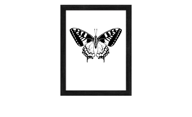 Pro-Art Rahmenbild Schmetterling 24 x 19 cm: schwarz-weißer Schmetterling in schlichtem schwarzem MDF-Rahmen auf weißem Hintergrund.