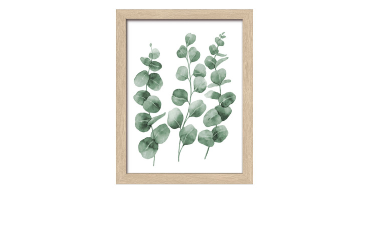 Das Pro-Art Rahmenbild Different Eucalyptus Branches I (24x19 cm) zeigt drei grüne Stämme auf MDF mit weißem Hintergrund.