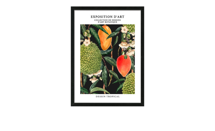 Pro-Art Rahmenbild Kunstausstellung 55x75cm: botanischer Druck auf Holzwerkstoff mit Glasfront, Durians, Mangos & Blumen.