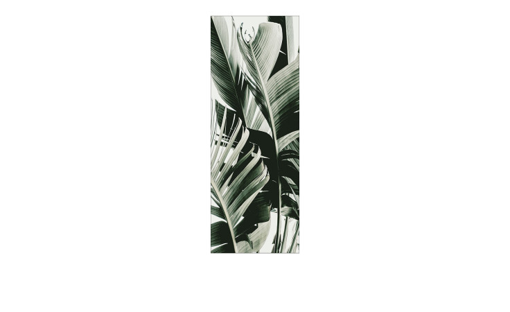 Das Pro-Art Leinwandbild Jungle Leaves 30 x 80 cm zeigt schwarze und weiße tropische Blätter auf einem mehrfarbigen Hintergrund.