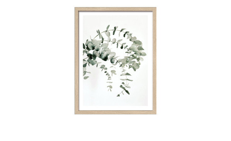 Das Pro-Art Rahmenbild Eucalyptus Branch 33 x 43 cm zeigt minimalistischen grünen Eukalyptus auf Glas/Holzwerkstoff, weißem Hintergrund.