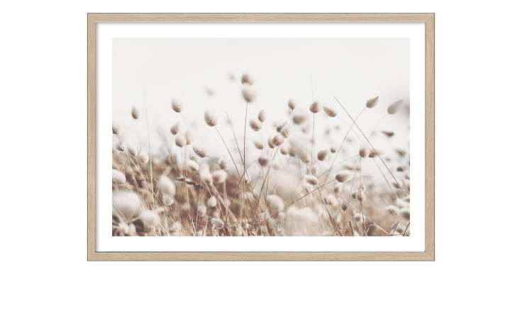 Pro-Art Rahmenbild Jungle Leaves 53x53 cm: Foto mit Glasfront, mit weichen Wildgräsern auf neutralem Hintergrund.