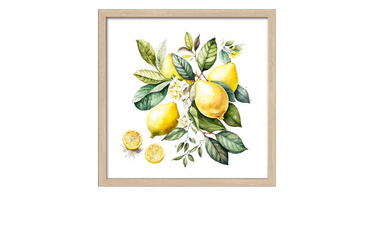 Pro-Art Rahmenbild Zitronen 33 x 33 cm: gelbe Zitronen, grüne Blätter, weiße Blüten auf weißem Hintergrund.