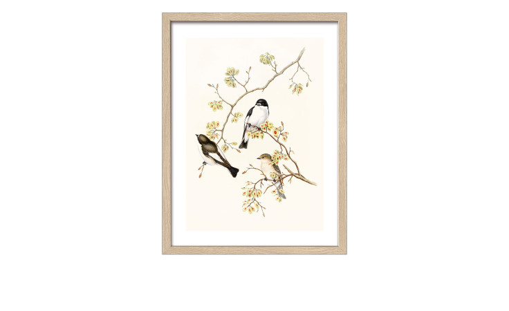 Pro-Art Rahmenbild Vögel 33 x 43 cm: drei Vögel auf Zweigen mit gelben Blumen, auf hellem Hintergrund.