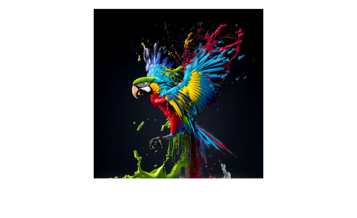 Das Pro-Art Glasbild Colorful Ara 50 x 50 cm zeigt einen lebendigen Papagei, ideal für Glasdekorationen auf schwarzem Hintergrund.