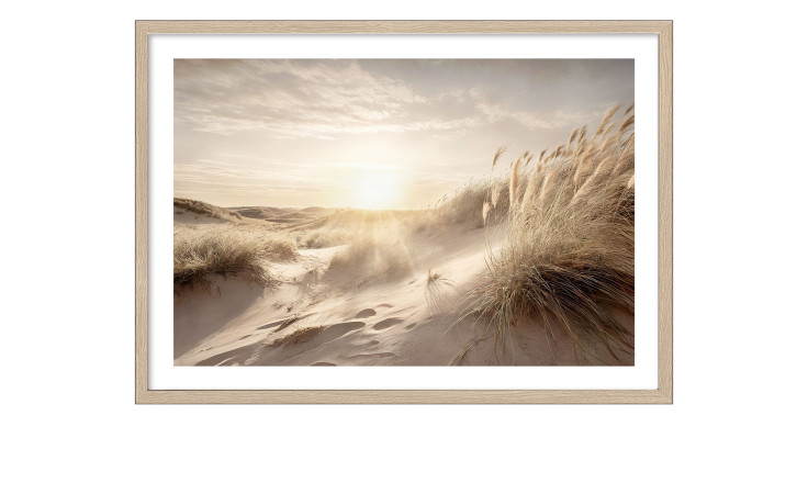 Pro-Art Rahmenbild Dünengras bei Sonnenaufgang 75 x 105 cm in naturfarbenem MDF-Rahmen, mit Sanddünen und hohen Gräsern.