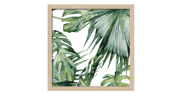 Das Pro-Art Rahmenbild Jungle 28 x 28 cm zeigt grüne tropische Blätter auf Weiß in einem hellen MDF-Holzrahmen.