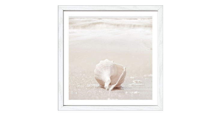 Das Pro-Art Rahmenbild At The Coast III (28x28 cm) zeigt eine weiße Muschel auf nassem Sand, gerahmt in weißem MDF.