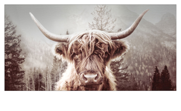 Das Pro-Art Alubild Schottisches Hochlandrind I (100x50 cm) zeigt eine langhörnige Kuh vor nebligen Bäumen und Bergen.