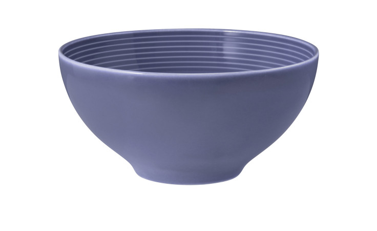 Die Seltmann Schüssel Beat 15,5 cm ist eine fliederfarbene Keramikschale mit ausgestelltem Rand und horizontalen Rillen im Inneren.