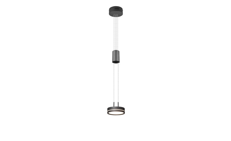 Die Trio LED-Pendelleuchte Franklin 14 cm zeichnet sich durch eine elegante Anthrazit-Optik und schlanke Kabel mit einer Fallhöhe von 150 cm aus.