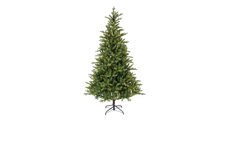 Tannenbaum Allison II, 240 cm hoch, mit grünen Zweigen und Metallständer vor weißem Hintergrund.