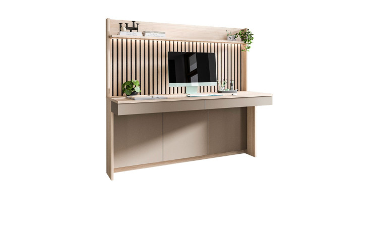 Homeoffice 