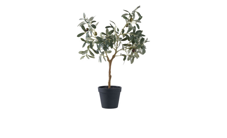 Olivenbaum Nilla von House Nordic aus Kunststoff