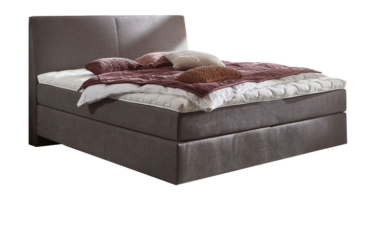 Boxspringbett vito Assetto in der Farbe Grau