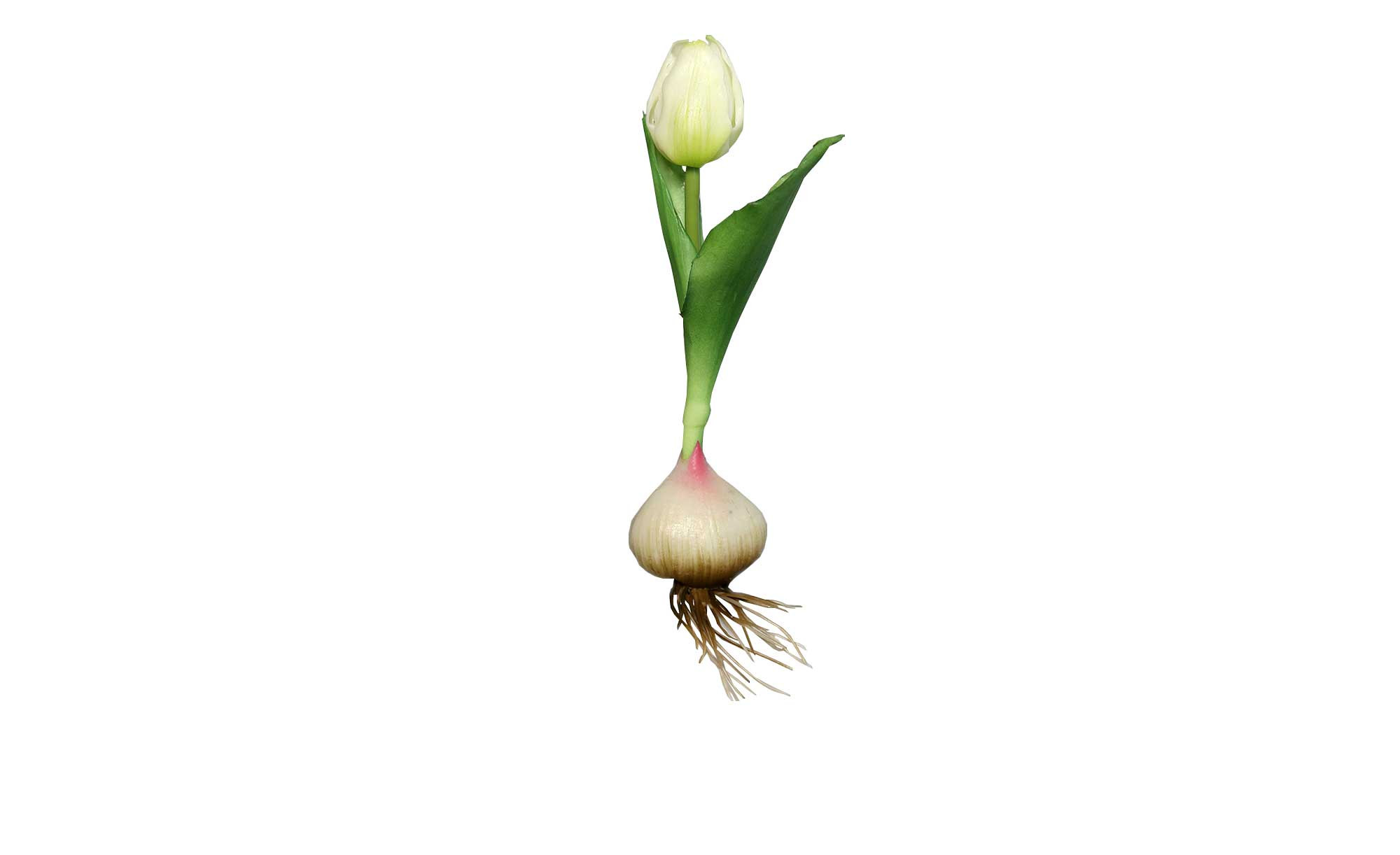 Tulipa Kristallglas Sevilla Matt - 5 Cm Mund, 14 X 15,5 Cm, Als Lampenersatz Für Klassische Leuchten