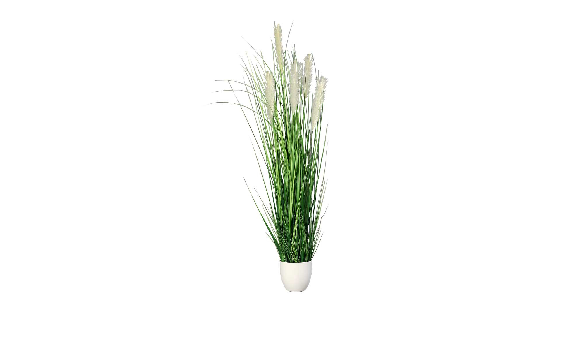 pflanzkübel pflanztöpfe Pflanzkübel Metall Kübel Pflanzgefäß violett Pflanztopf Ø26+28+32cm Bl –  finehomegarden main image 1