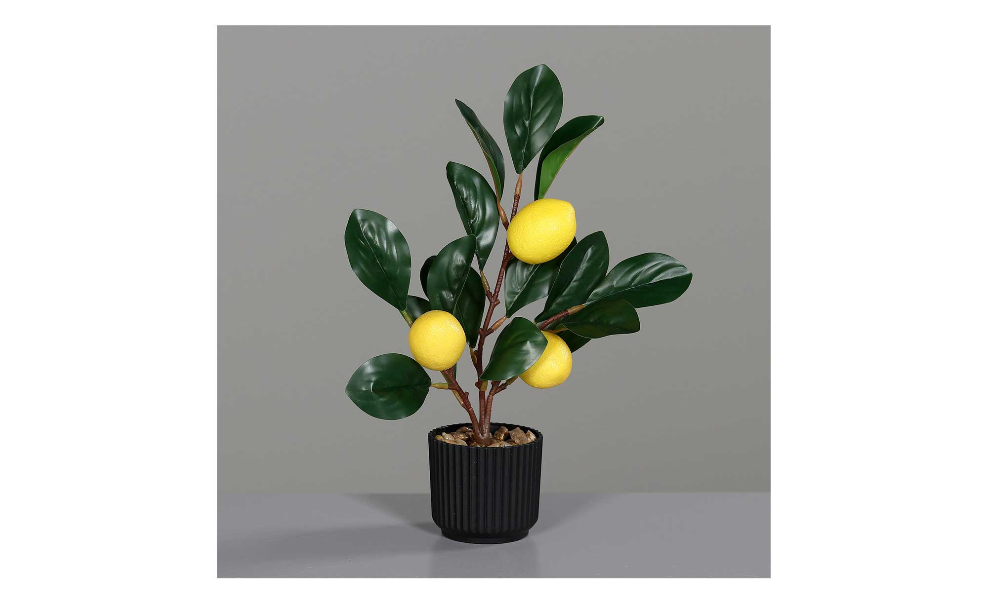 Zitronenbaum 30 cm bei Mbel Heinrich online entdecken