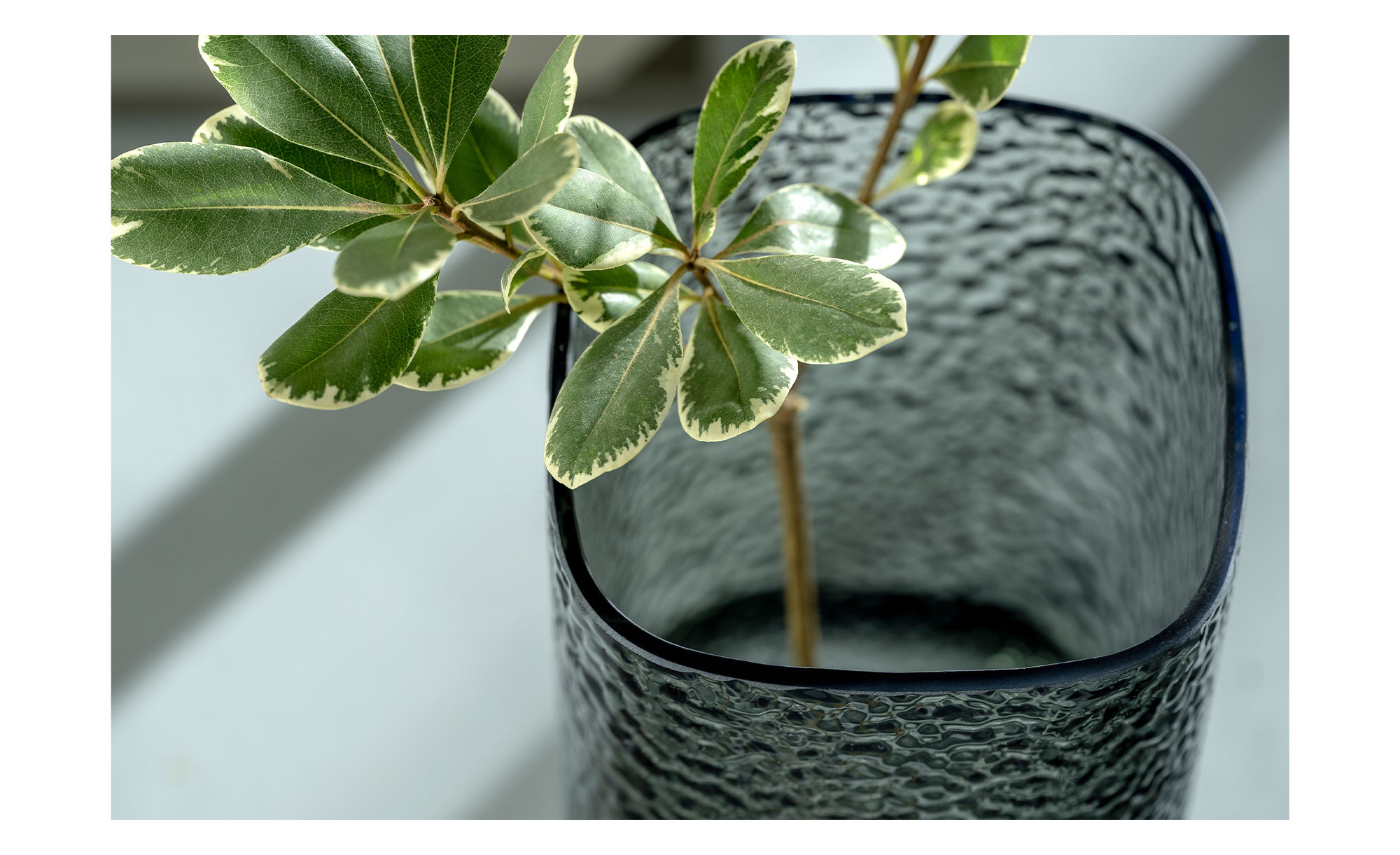 Indore Home - Vaas Boho - Bloemenvaas - Vaas Ribbel - Woonkamer decoratie - Vaas Zwart - L