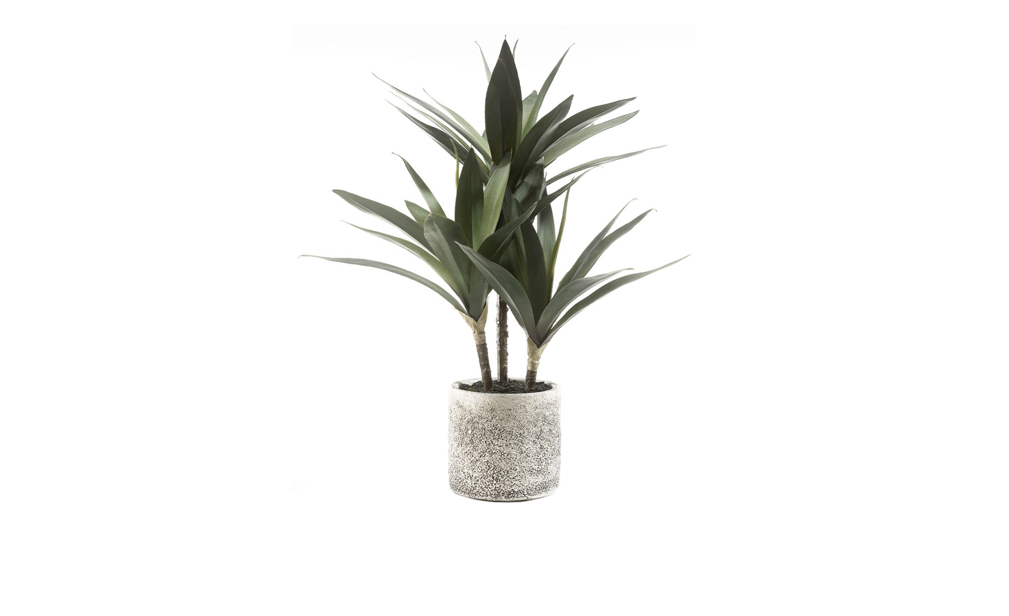 Yucca-Palme 43 cm bei Mbel Heinrich online entdecken