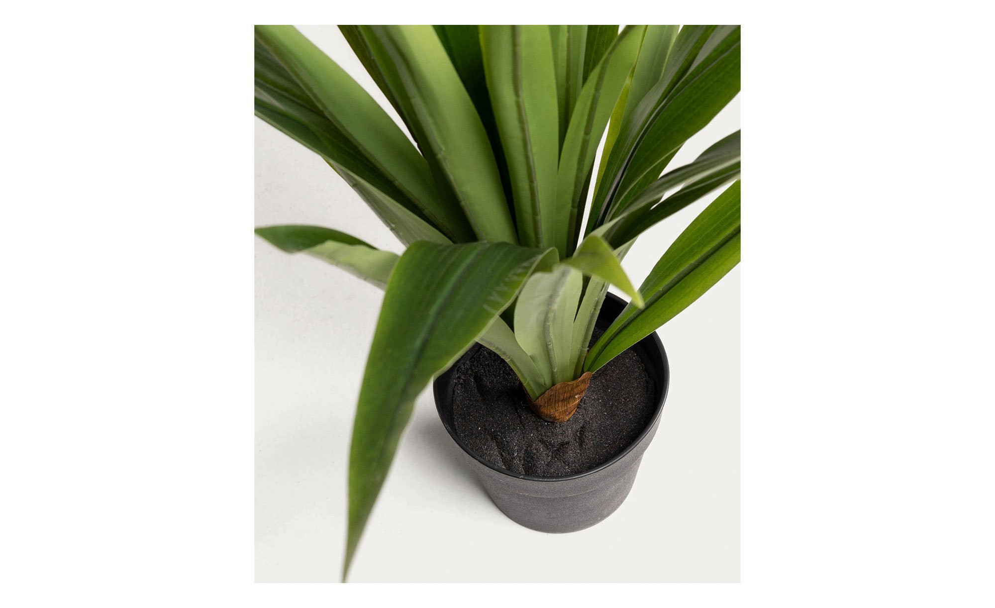 Kunstpflanze Yucca bei Mbel Heinrich online entdecken