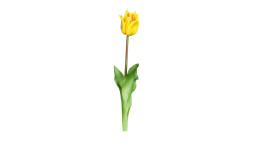 Tulpe 48 cm aus Kunststoff und Polyurethan mit einer gelben Blüte und grünen Stiel und Blätter.