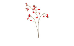 Hagebuttenzweig 78 cm aus Kunststoff in rot.