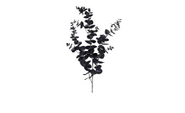 Eukalyptuszweig 102 cm aus Kunststoff in schwarz.