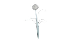 Pusteblume 82 cm in beige