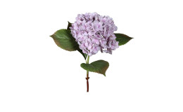 Hortensie 52 cm in lila