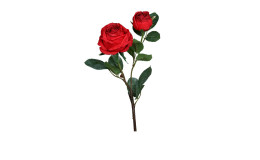 Rose 57 cm in rot