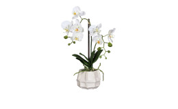 Orchidee 48 cm in weiß