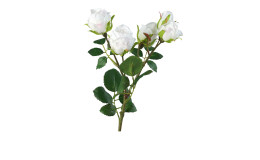 Mini-Rosenzweig 37 cm aus Kunststoff mit weißen Blüten und grünen Stiel und Blätter.