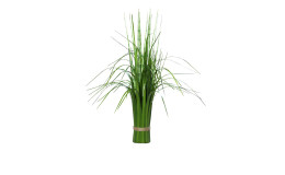 California-Beach-Stehgras 58 cm aus Kunststoff in grün mit einem braunen Band zugebunden.