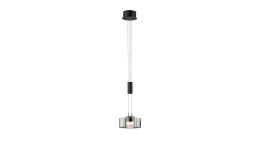 Die Fischer-Honsel LED-Pendelleuchte Lavin 20 cm hat einen Glasschirm, eine Metallhalterung und klare Kabel in Schwarz.
