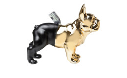 Spardose Bulldog 27,5 cm in schwarz / gold