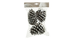 Kiefer-Zapfen 3 tlg.