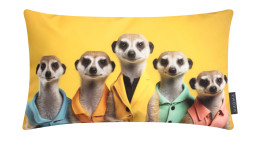 Kissenhülle Crazy Erdmännchen 30 x 50 cm