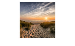 Glasbild Weg Zum Strand 50 x 50 cm Strandlandschaft