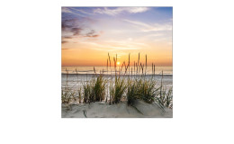 Glasbild Lonely Dune 50 x 50 cm, Strandlandschaft mit einem Sonnenuntergang