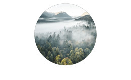 Glasbild Misty Valley mit 20 cm Durchmesser. Glasbild mit dem Thema - Wald.