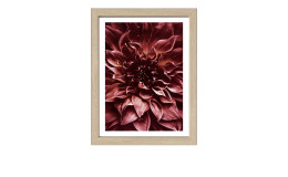 Rahmenbild Dark Dahlia 33 x 43 cm