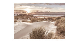 Alubild Beach at Sunrise 70 x 100 cm