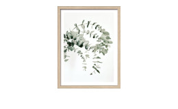 Rahmenbild Eucalyptus Branch 33 x 43 cm