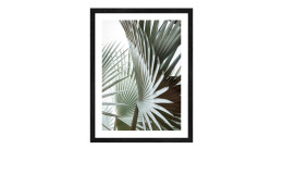 Rahmenbild Jungle Leaves III 42,5 x 32,5 cm