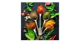 Glasbild Vintage Herbage II 50 x 50 cm