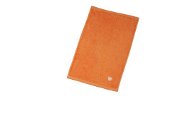 Gästetuch Vita 30 x 50 cm