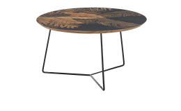 Couchtisch Miranda mit Tischplatte aus Mangoholz mit floralem Druck