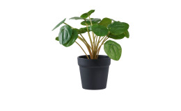 Kunstpflanze Nilla von House Nordic Kunststoff grün