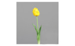 Tulpe 45 cm in gelb mit einem grauen Hintergrund